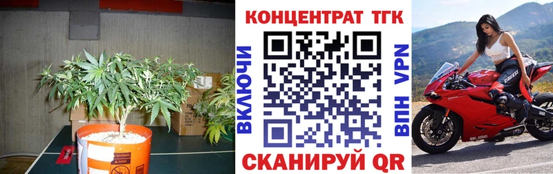ТГК жижа Олонец